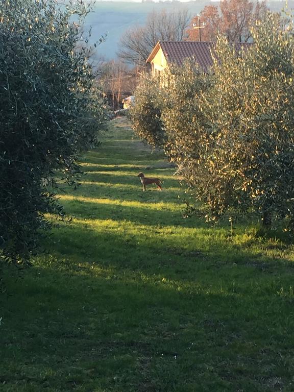 Appartamento Dell Agriturismo Pane E Olio Todi Luaran gambar