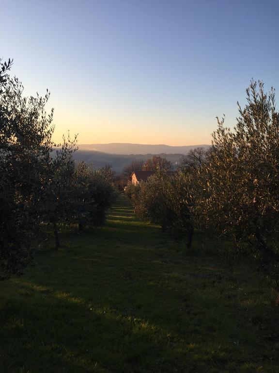 Appartamento Dell Agriturismo Pane E Olio Todi Luaran gambar